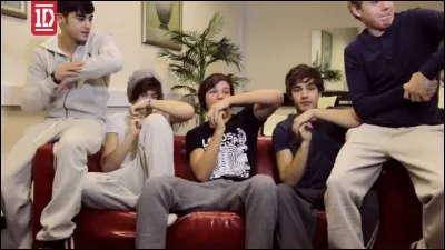 Au total combien de vidéos diaries durant X-Factor et la tournée, les boys ont-ils enregistrées ?