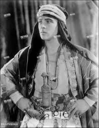 Quel nom porte l'étude des déchets, des biens et des espaces déclassés ?