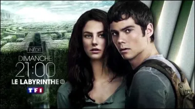 Combien y a-t-il de tomes dans la saga "Le Labyrinthe" ?