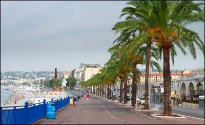 "Brice de Nice" est un film interprété par Gilles Lellouche.