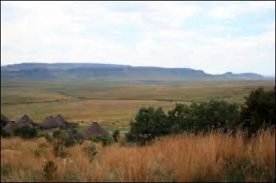 Vaste prairie d'Afrique du Sud, au relief peu marqué et couverte d'herbe et d'arbustes :