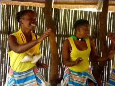 Langue bantoue parlée par un peuple d'Afrique du Sud :