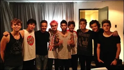 Comment les 5SOS sont-ils devenus connus ?