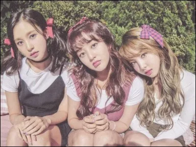 Quelles membres font partie de la maknae line ?