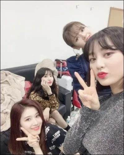 Quelles sont leurs couleurs officielles ? Le ... & le ...