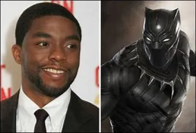Qui est l'acteur qui interprète Black Panther ?