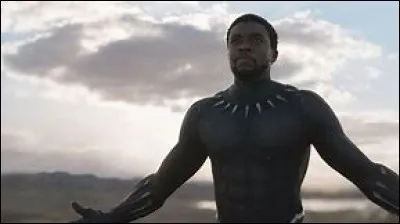 Quel est le vrai nom de Black Panther ?