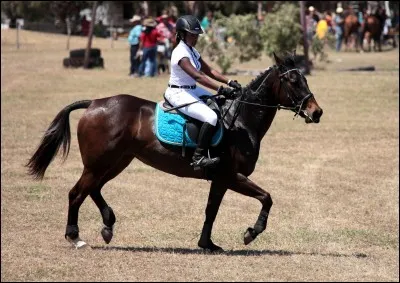 De quelle couleur est le fanion à droite d'un obstacle ?