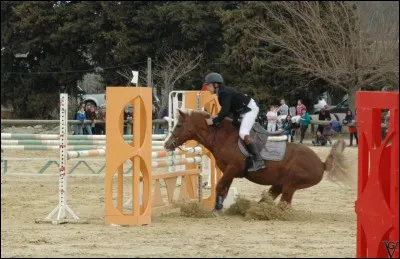 Que peut faire le cheval pour ne pas passer un obstacle ?