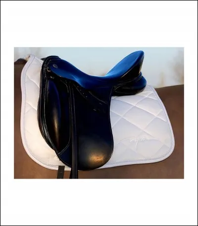 En concours le tapis doit...