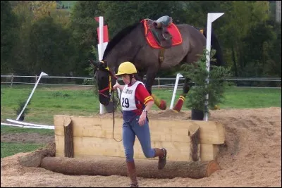 Que signifie "TREC" ?