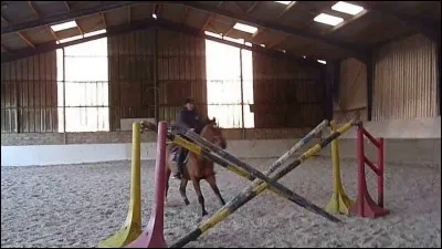 Quel est le nom de cet obstacle ?