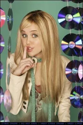 En quelle année fut diffusée la série en France ?