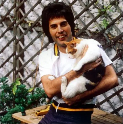 Comment Freddie, Roger et Brian se sont-ils rencontrés ?