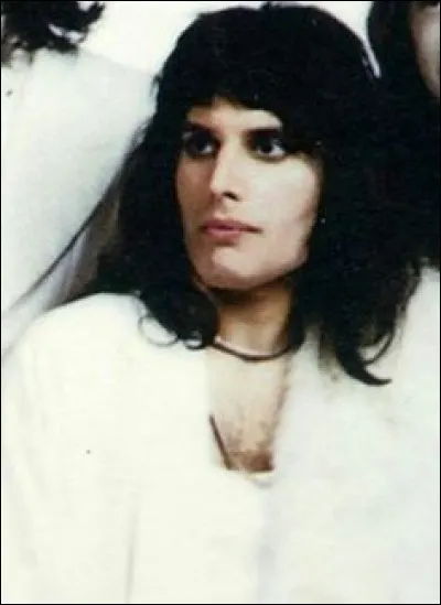 Quelles études fait-il ?