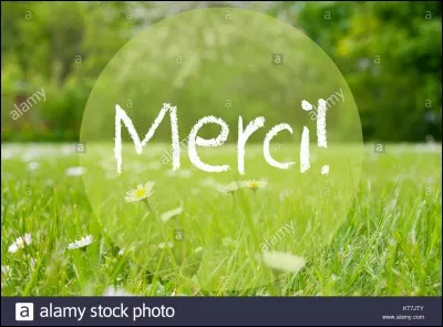 Ce brave homme vous a indiqué le chemin à suivre, il est donc naturel de le remercier. Comment dit-on "merci" en allemand ?