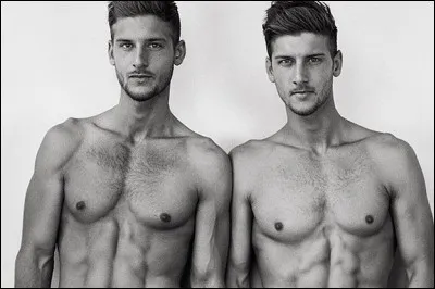 La reine Hysipyle de Lemos eut avec Jason des jumeaux. Qui sont-ils ?