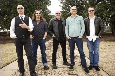 De quelle nationalité est le groupe Camper Van Beethoven ?