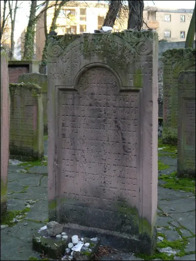 Quelle était la religion de Pinchas Horowitz ?