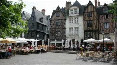Et enfin, par pur chauvinisme : 
Pays : France 
Ville : Tours 
À voir : Bâtiment en pierres de tuffeau et maisons à colombages
À savoir : A été appelé carroi des Quenouilles. 
Quel est le nom de cette place ?