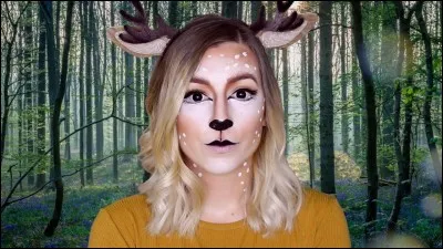 Peut-on mettre des filtres quand on s'appelle en visio ?