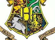 Test Quel personnage de ''Harry Potter'' es-tu ?