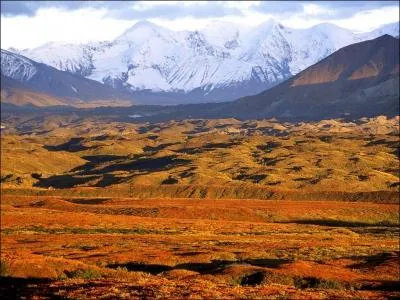 Quel est le paysage le plus caractristique de l'Alaska ?