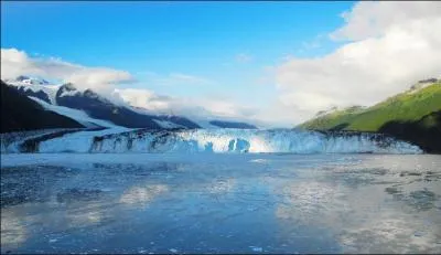 Comment appelle-t-on ces valles glaciaires trs profondes se prolongeant en-dessous du niveau de la mer et remplies d'eau sale ?