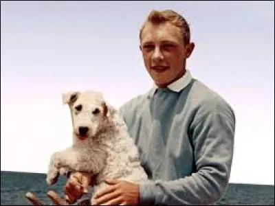 Quel est le titre du film de Tintin évoquant une orange particulière ?