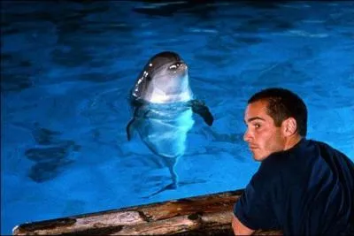 Jean-Marc Barr et son copain le dauphin, c'est ...