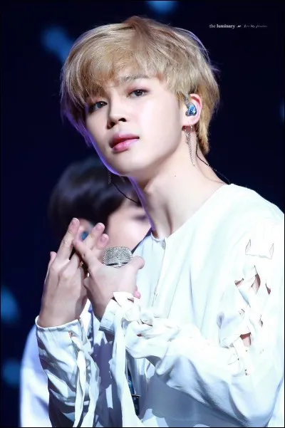 Qui est-il chez les BTS ?