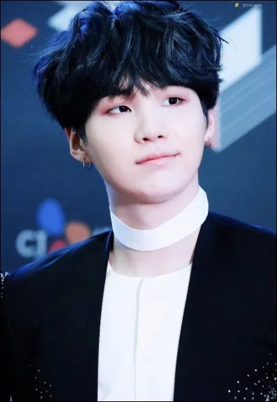 Quel est l'aliment préféré de Suga ?