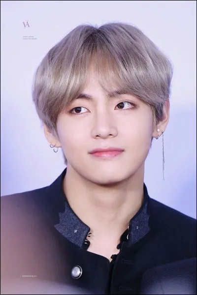 Dans "Boy With Luv" quelle couleur de cheveux a V ?