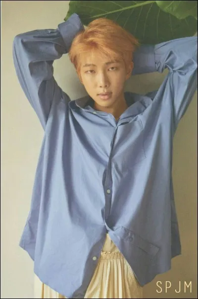 Dans quelle chanson Rap Monster commence-t-il en disant "The world is a complex" ?