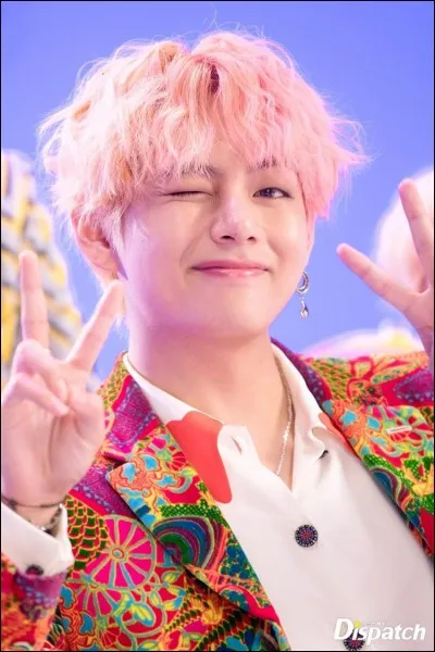 Taehyung (V) est une "idol" mais aussi un...