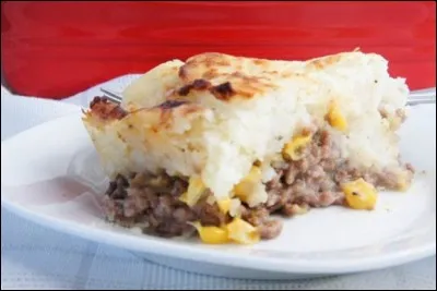 P&acirc;t&eacute; chinois : bœuf hach&eacute;, ma&iuml;s, pommes de terre en pur&eacute;e, superpos&eacute;s dans cet ordre. Tourti&egrave;re : tourte &agrave; base de viande hach&eacute;e (bœuf,veau,porc) recouverte de p&acirc;te.Quel est le pays d'origine de ces deux plats ?