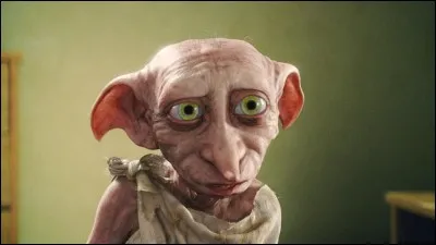 Que fait Dobby pour se punir ?