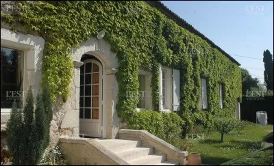 En parlant d'un lieu garni de verdure ou coloré en vert grâce à la présence de végétaux :
