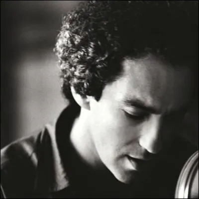 Michel Berger a chanté ''Quelques mots d'amour''. Comment dit-on ''je t'aime'' en breton ?