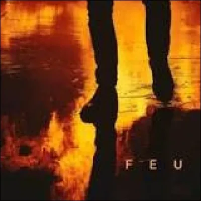 En quelle année Nekfeu sort son album "Feu" ?