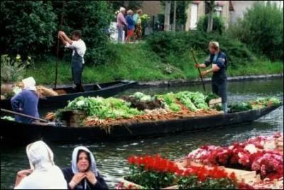 Voici les hortillonages d'Amiens dans la Somme et ses habitants sont des :