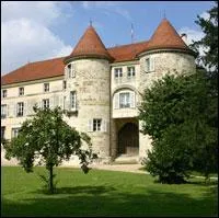 Voici le chateau de Saint Dizier dans la Haute Marne et ses habitants sont des :