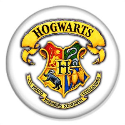 Dans quelle maison de Poudlard, Harry, Ron et Hermione sont-ils envoyés ?