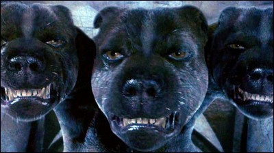 Comment s'appelle le chien à 3 têtes ?