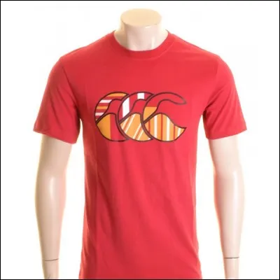 Quel est ce logo de rugby ?