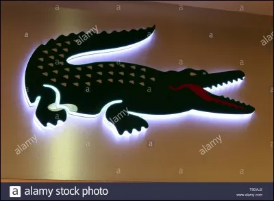 Quel est ce logo de vêtements de sport ?