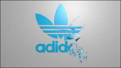 Quel est ce logo de vêtements de sport ?