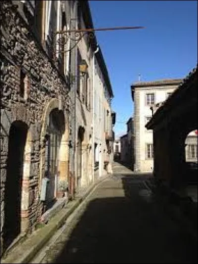 Village Audois établi sur un promontoire rocheux, Fanjeaux se situe dans l'ancienne région ...