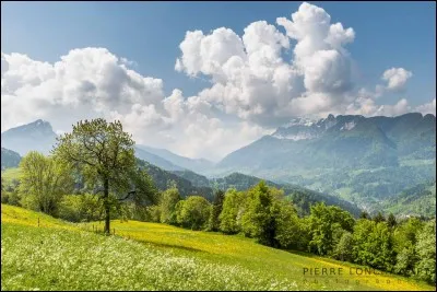 Quelle saison préfères-tu ?