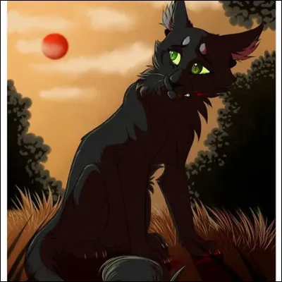 Et enfin, dans quel livre Feuille de Houx disparaît-elle dans les tunnels souterrains ?